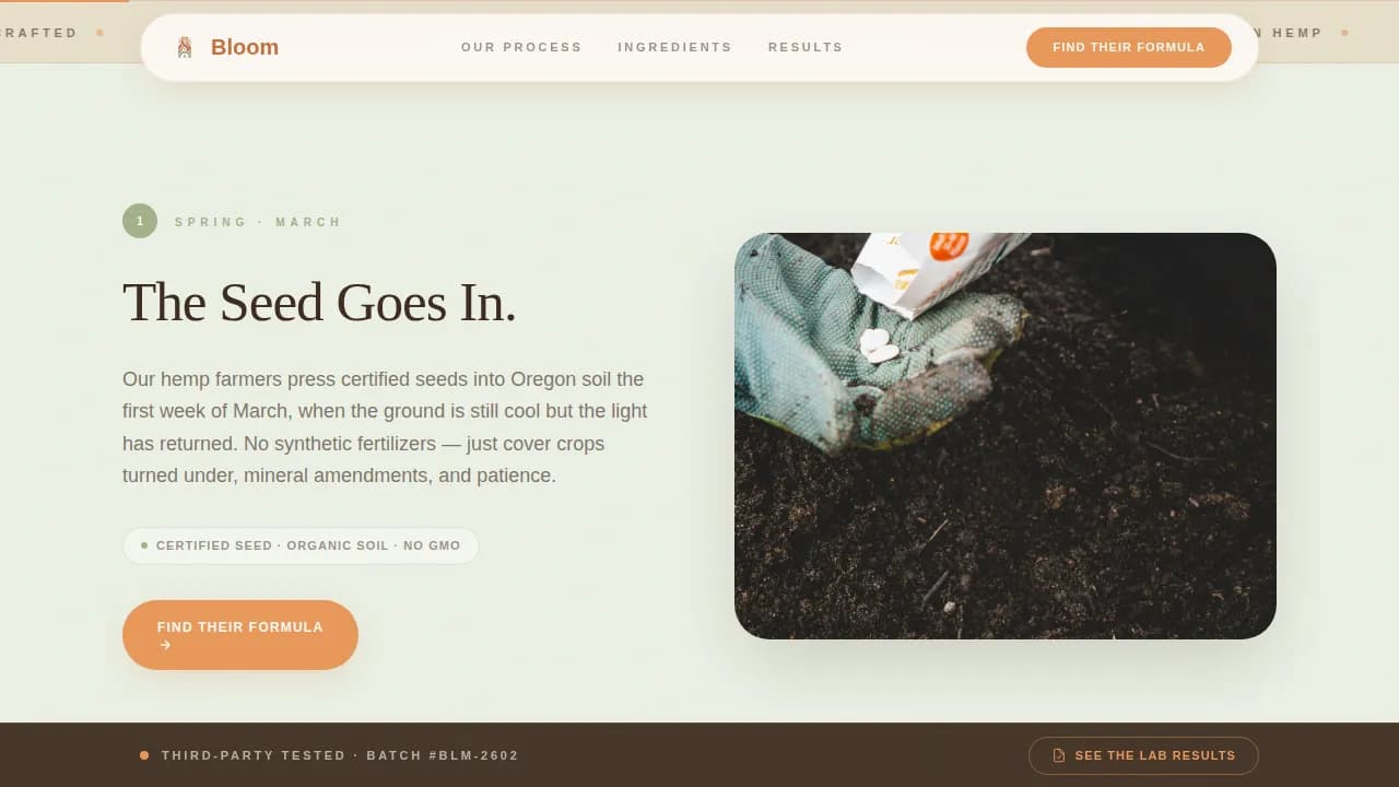 Premium Cannabis Industry Services Professional Website Template