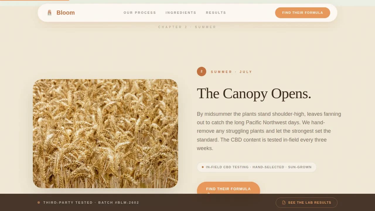 Premium Cannabis Industry Services Professional Website Template