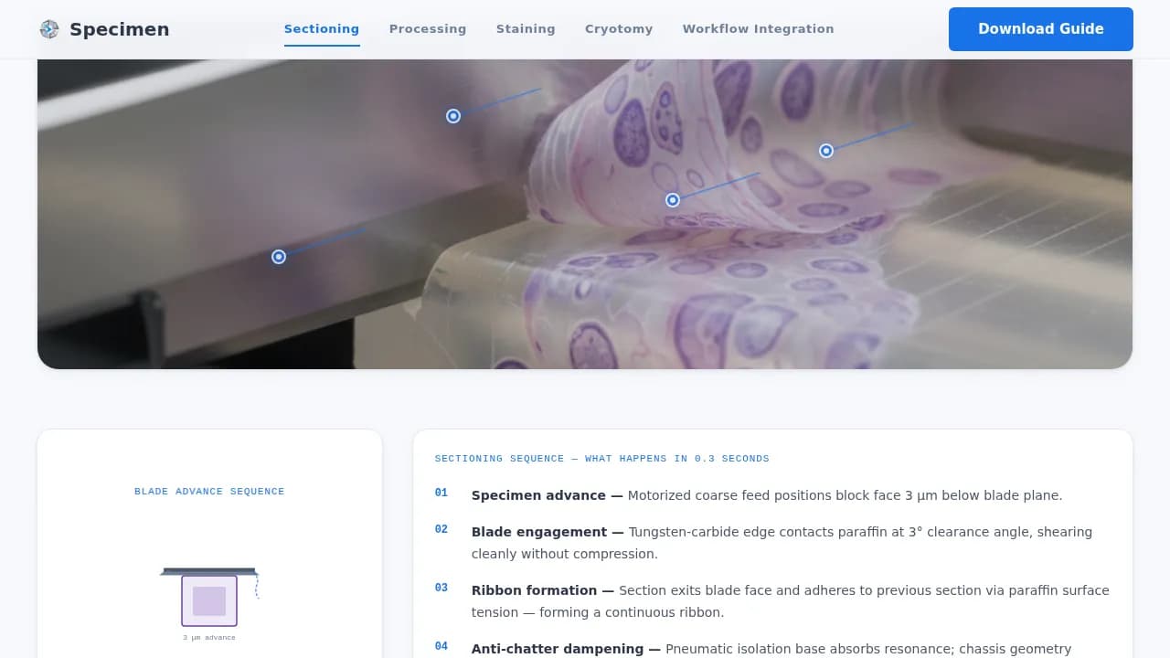 Specialist Pathology Medicine Professional Website Template