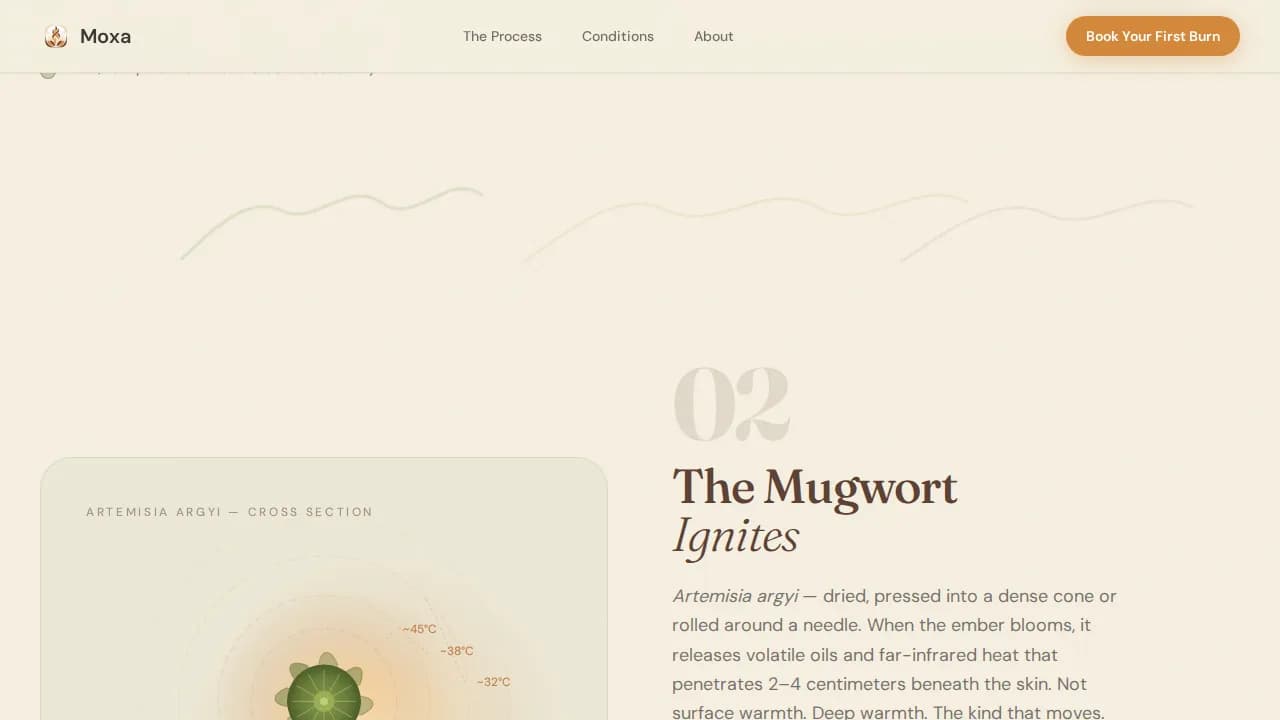 Wellness Modalities Appointment Booking Website Template