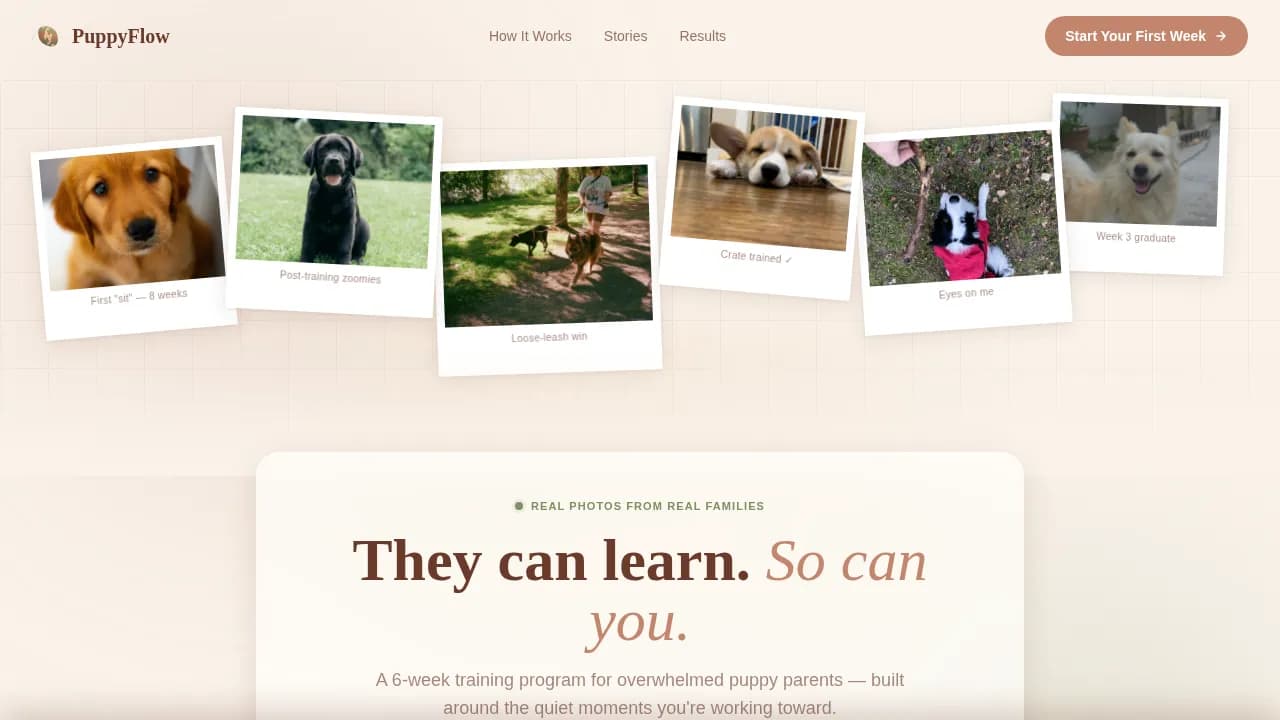 Pet Training & Behavior Professional Website Template