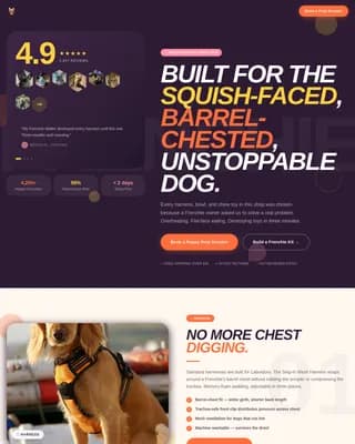 Paws — Playful Puppy Essentials Landing Page Template