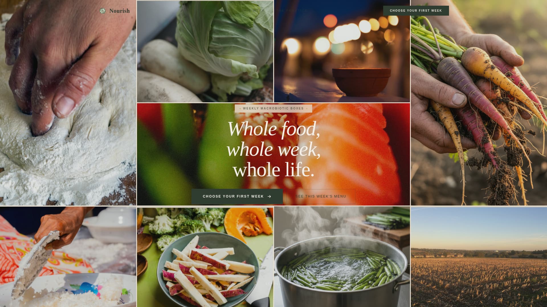 Macrobiotic Food & Dining Booking Website Template