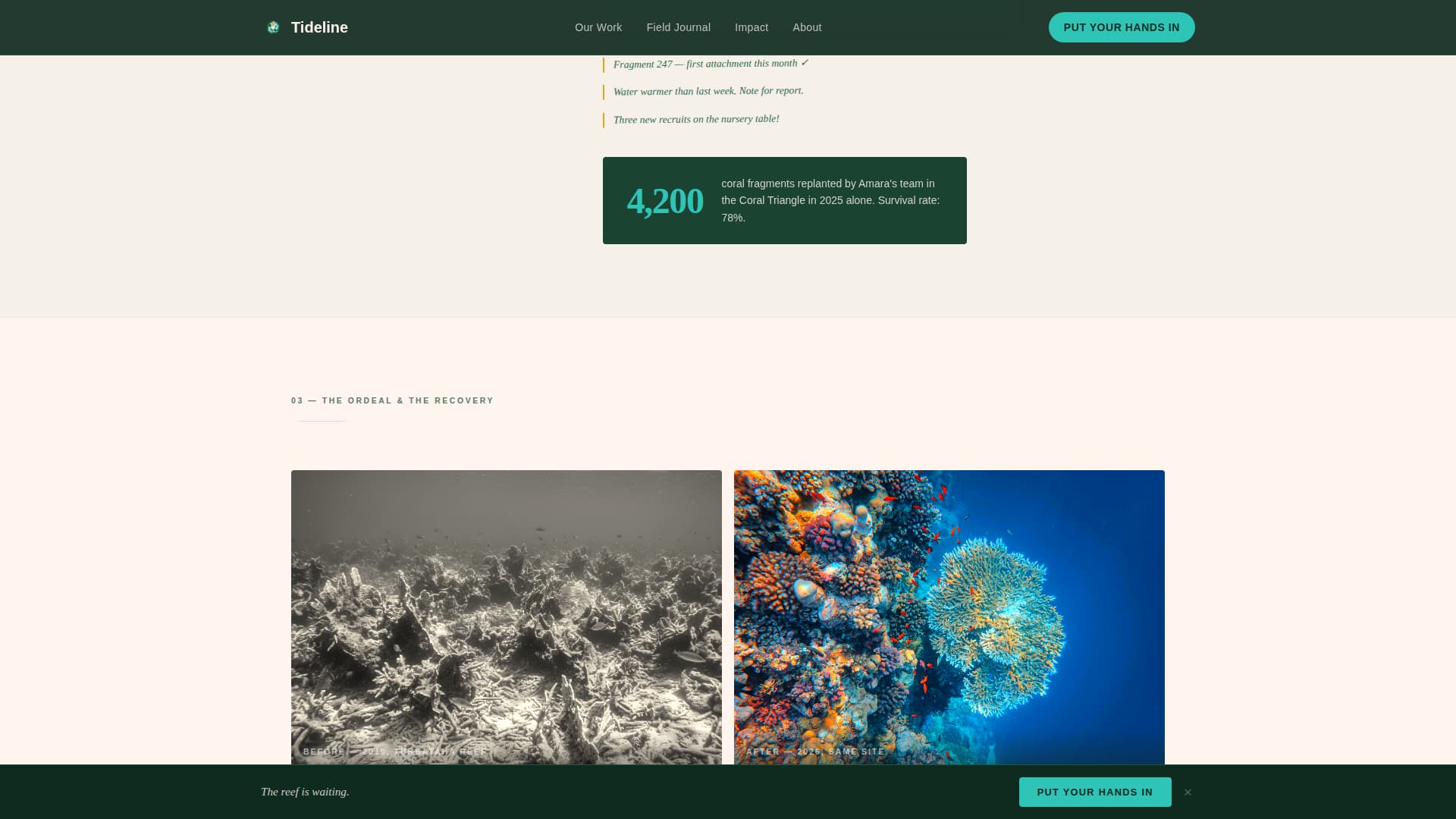 Ocean Conservation Nonprofit Cost Calculator Website Template