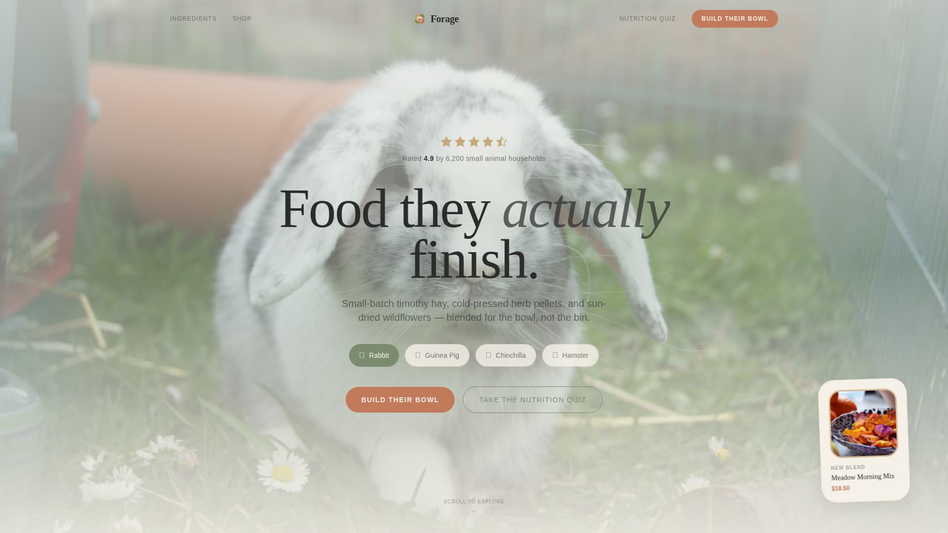 Rabbit & Small Animal Reviews Website Template