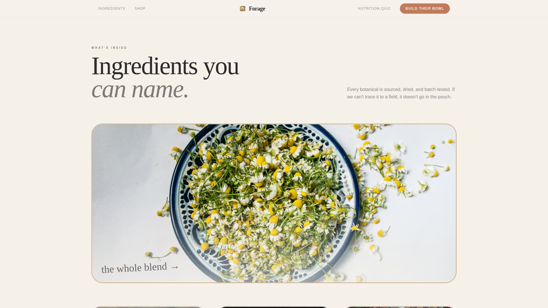 Rabbit & Small Animal Reviews Website Template