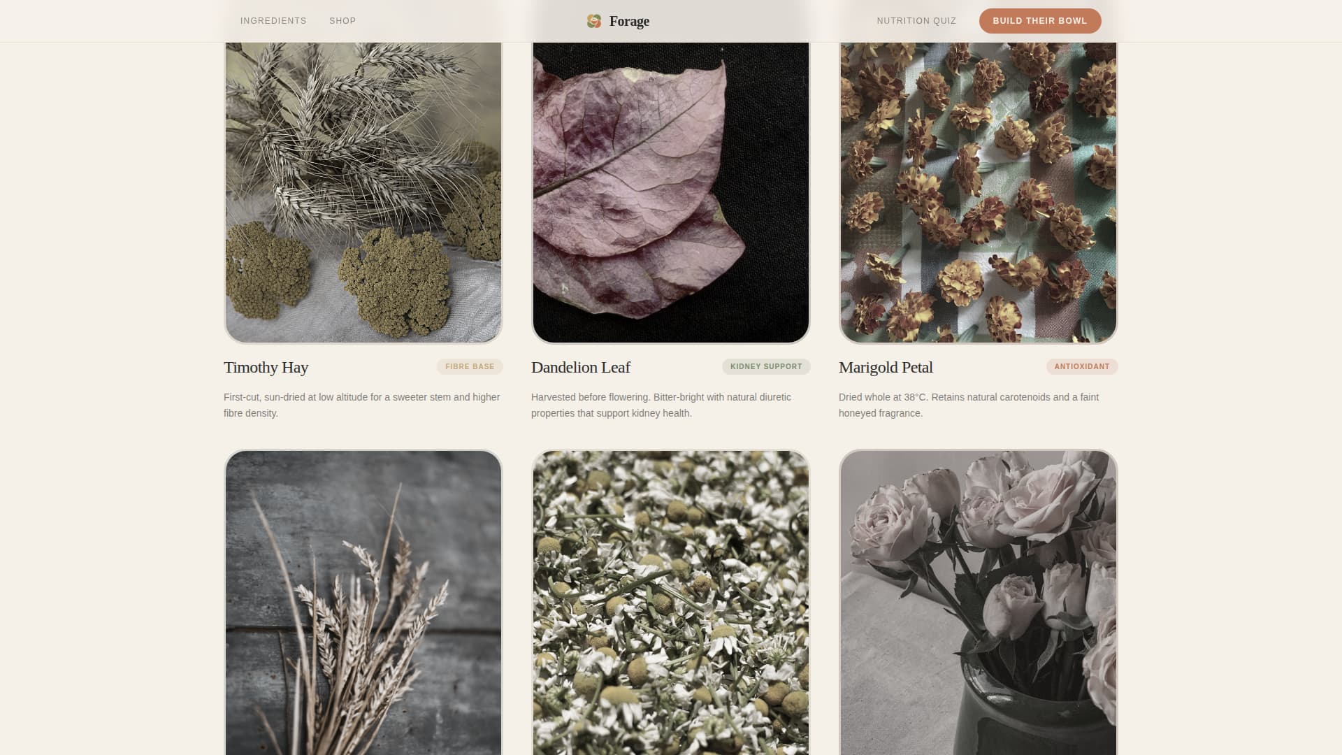 Rabbit & Small Animal Reviews Website Template
