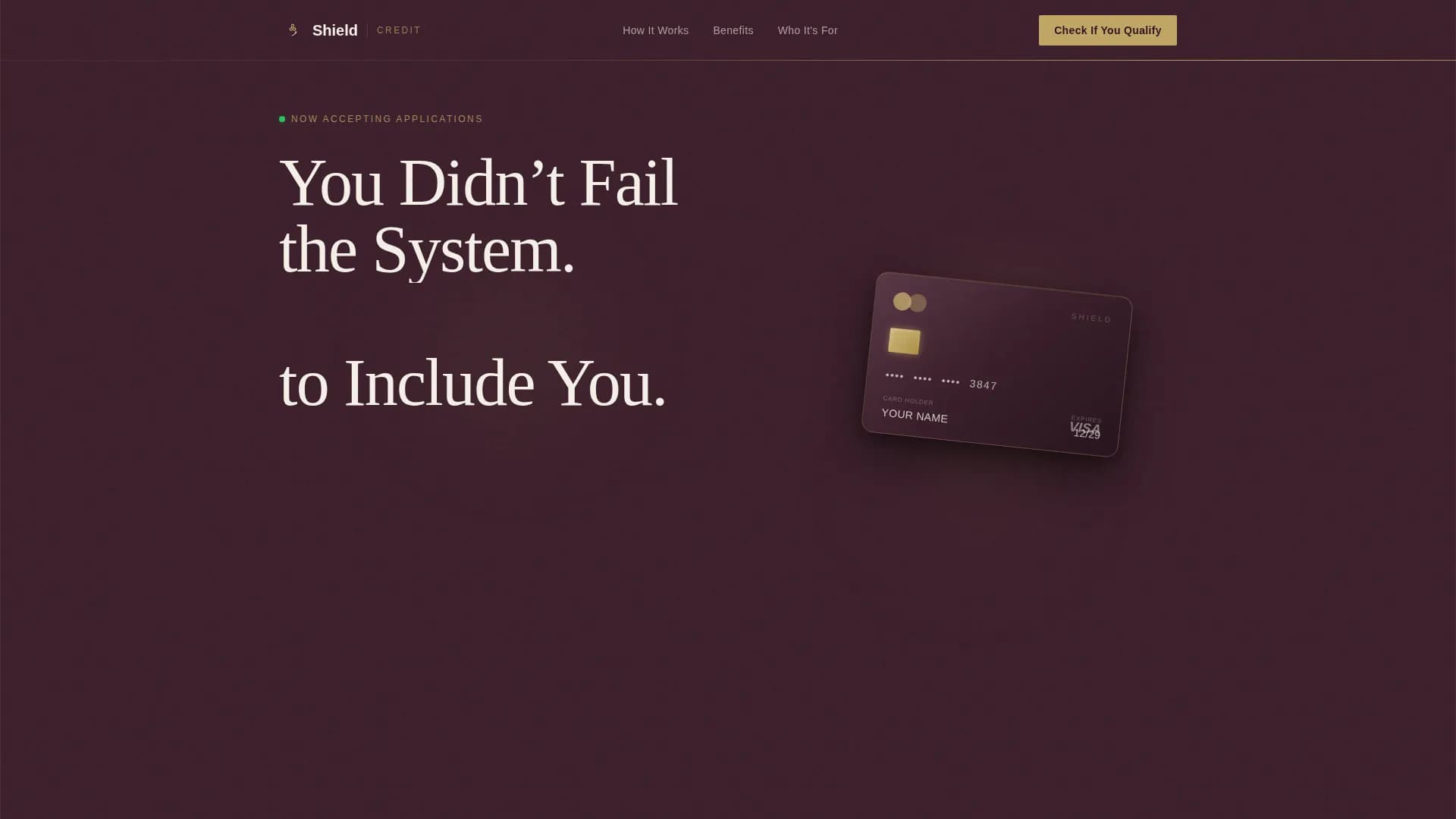 Specialist Low Income Finance Professional Website Template