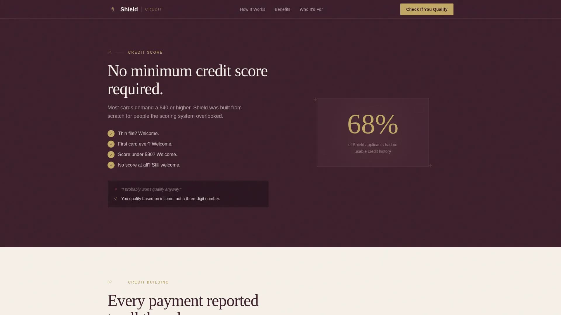 Specialist Low Income Finance Professional Website Template