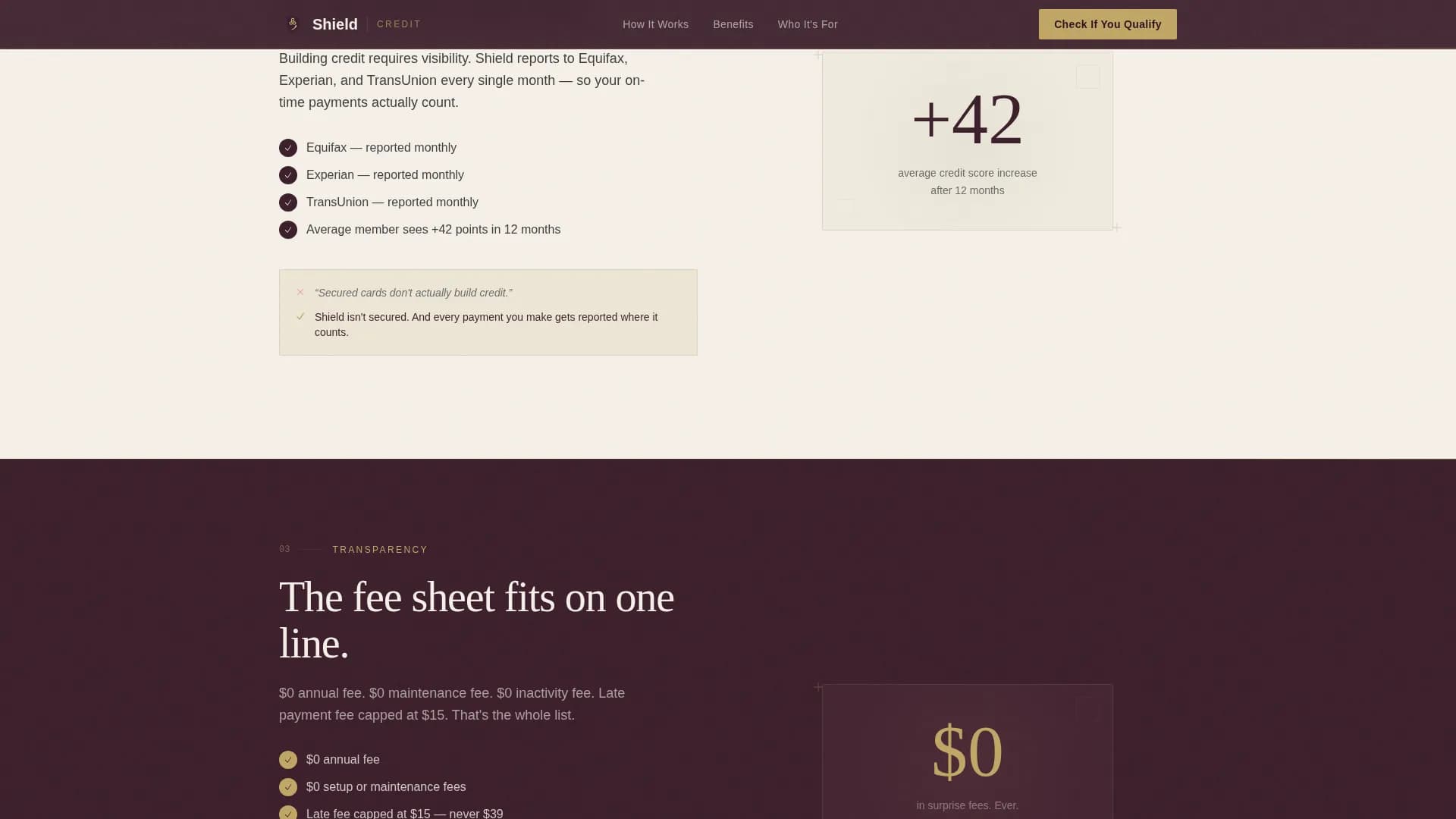 Specialist Low Income Finance Professional Website Template