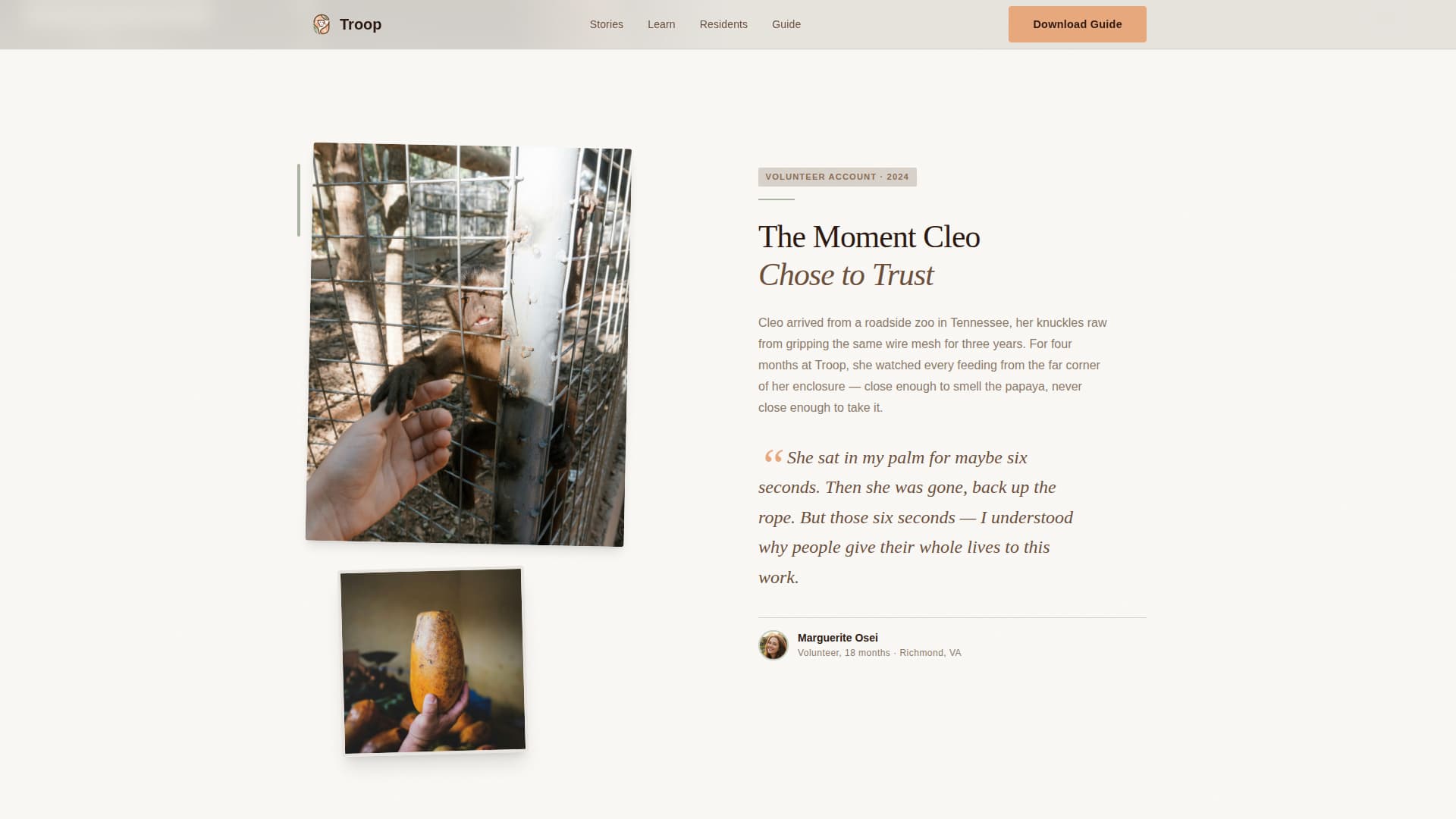 Animal Welfare & Protection Reviews Website Template