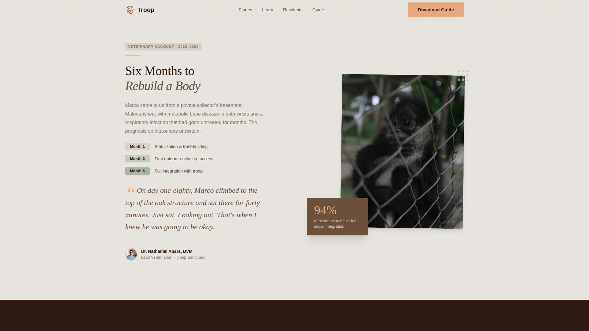 Animal Welfare & Protection Reviews Website Template