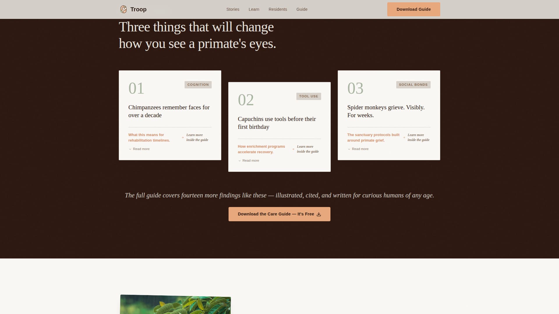 Animal Welfare & Protection Reviews Website Template