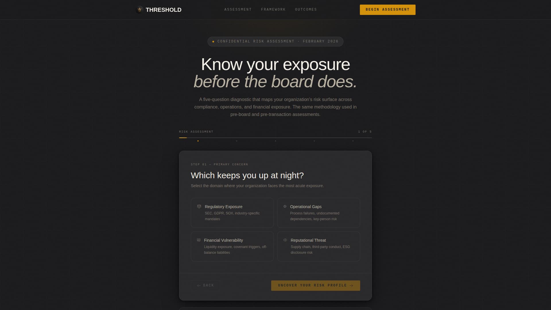Threshold - Executive Riskassessment Landing Page Template