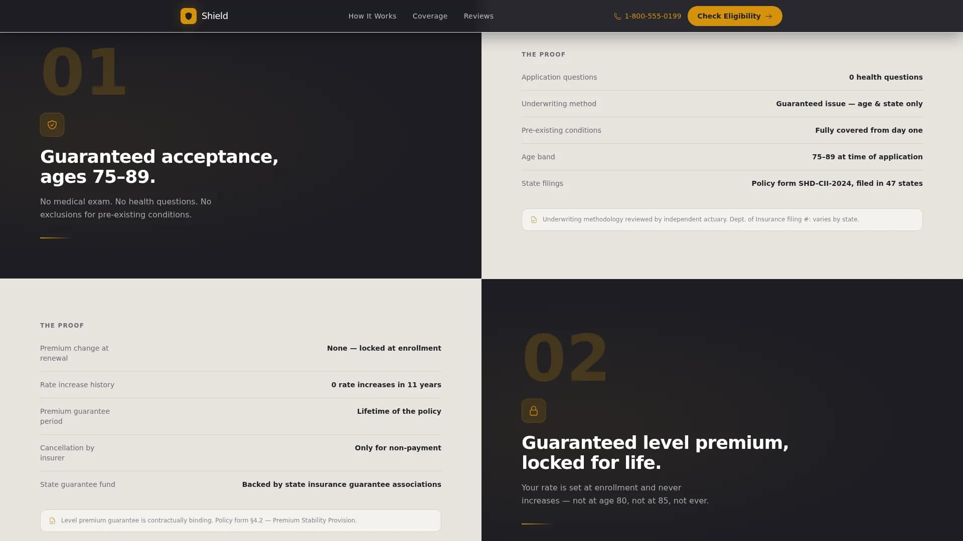 Senior (75+) Insurance Professional Website Template