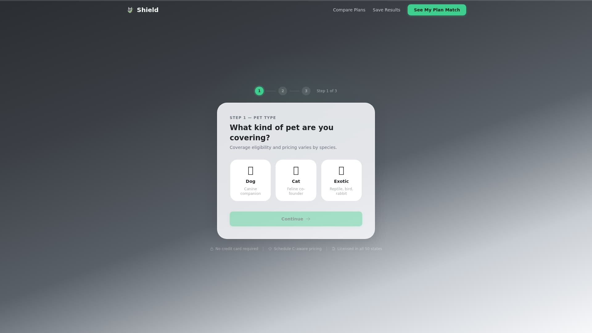 Small Business Owner Insurance Professional Website Template