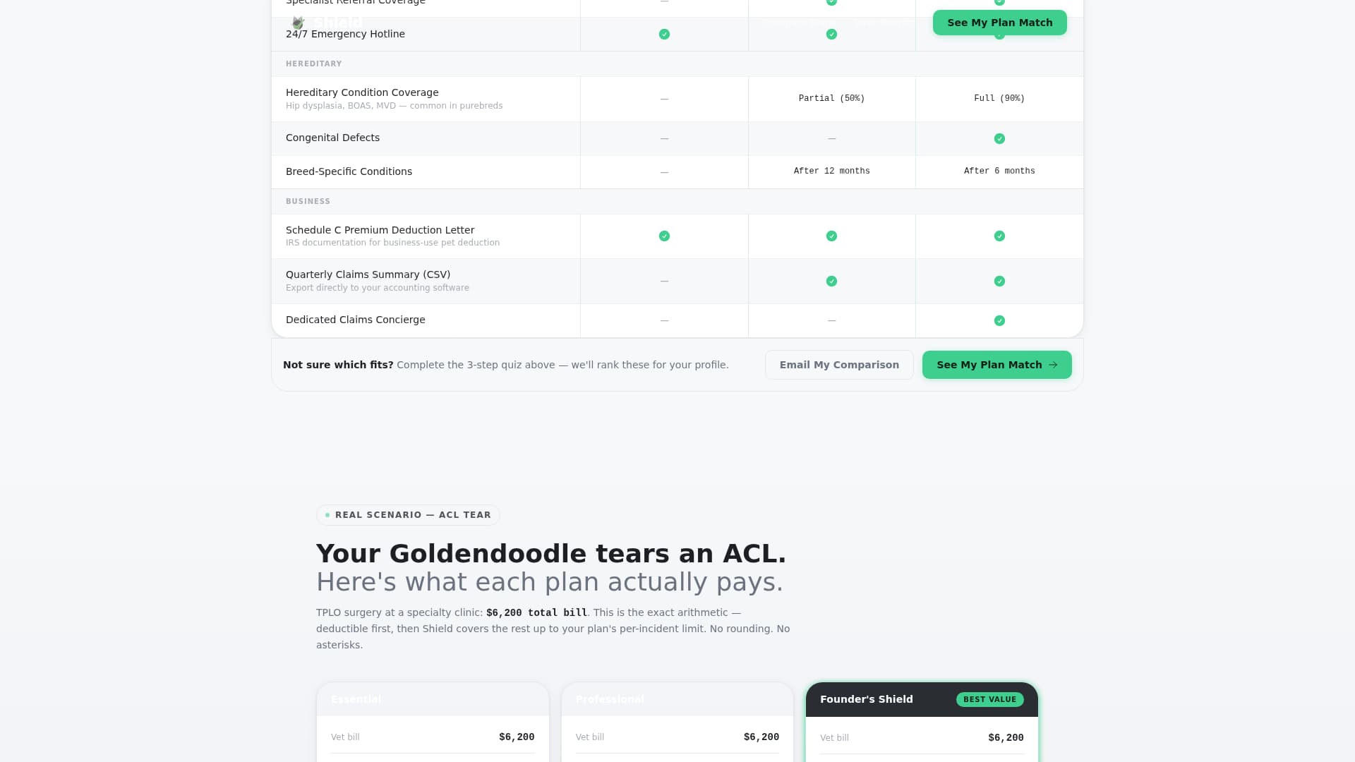 Small Business Owner Insurance Professional Website Template