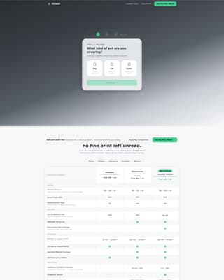 Small Business Owner Insurance Professional Website Template