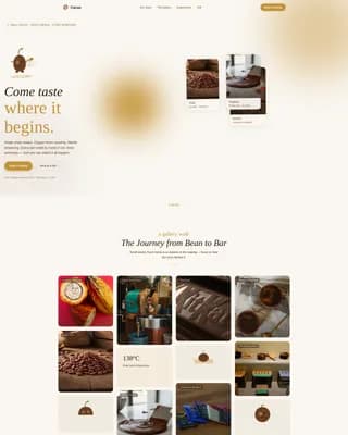 Chocolate & Confectionery Appointment Booking Website Template