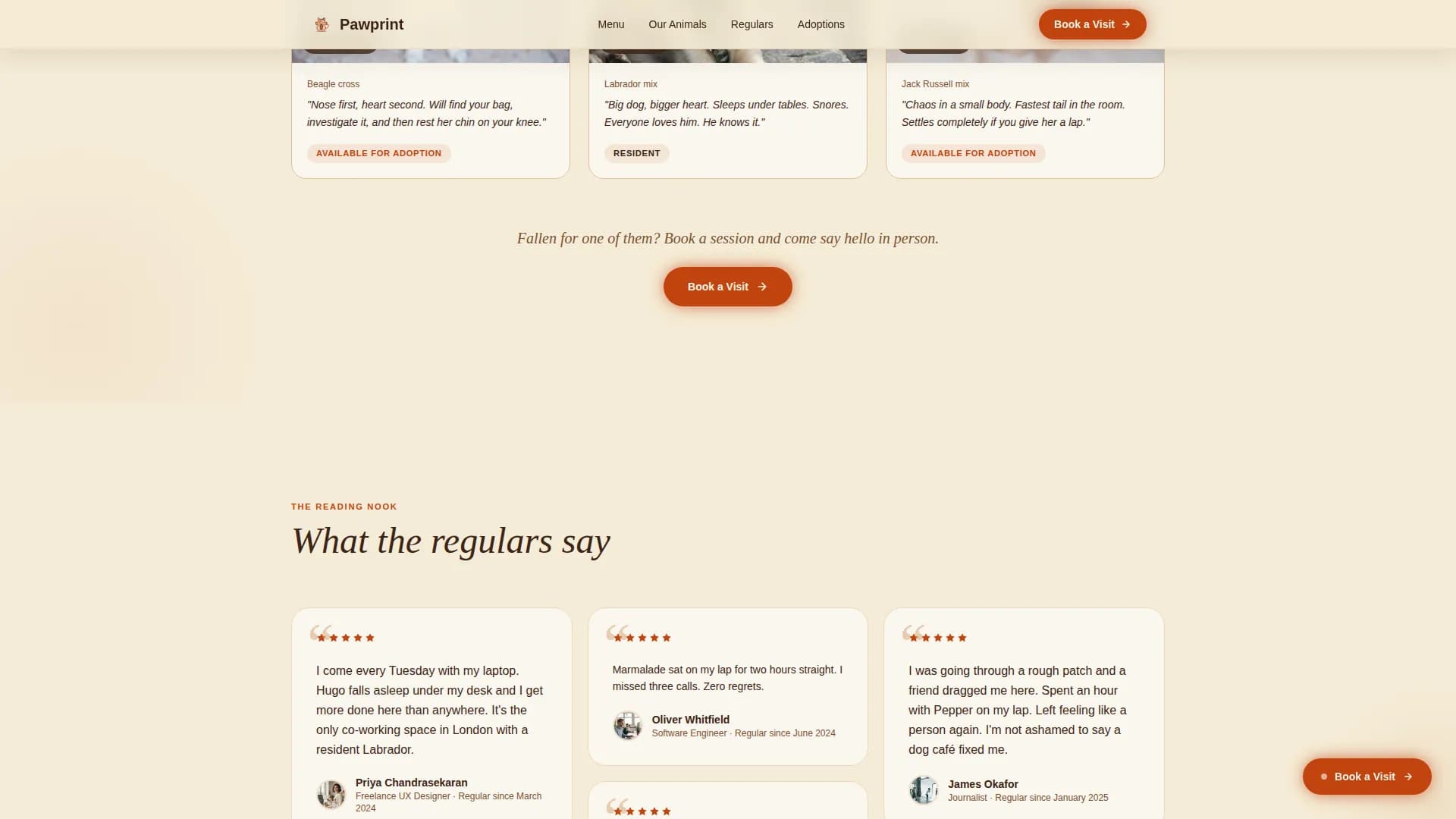 Rescue Animal Café & Adoption Experience Website Template