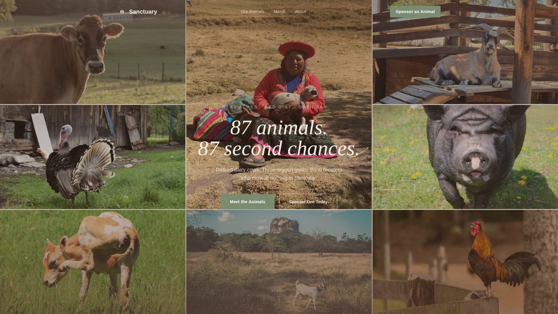Livestock & Farm Animal Professional Website Template