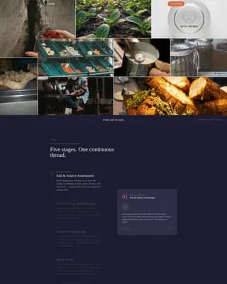 Culinary School & Education Privacy Policy Website Template