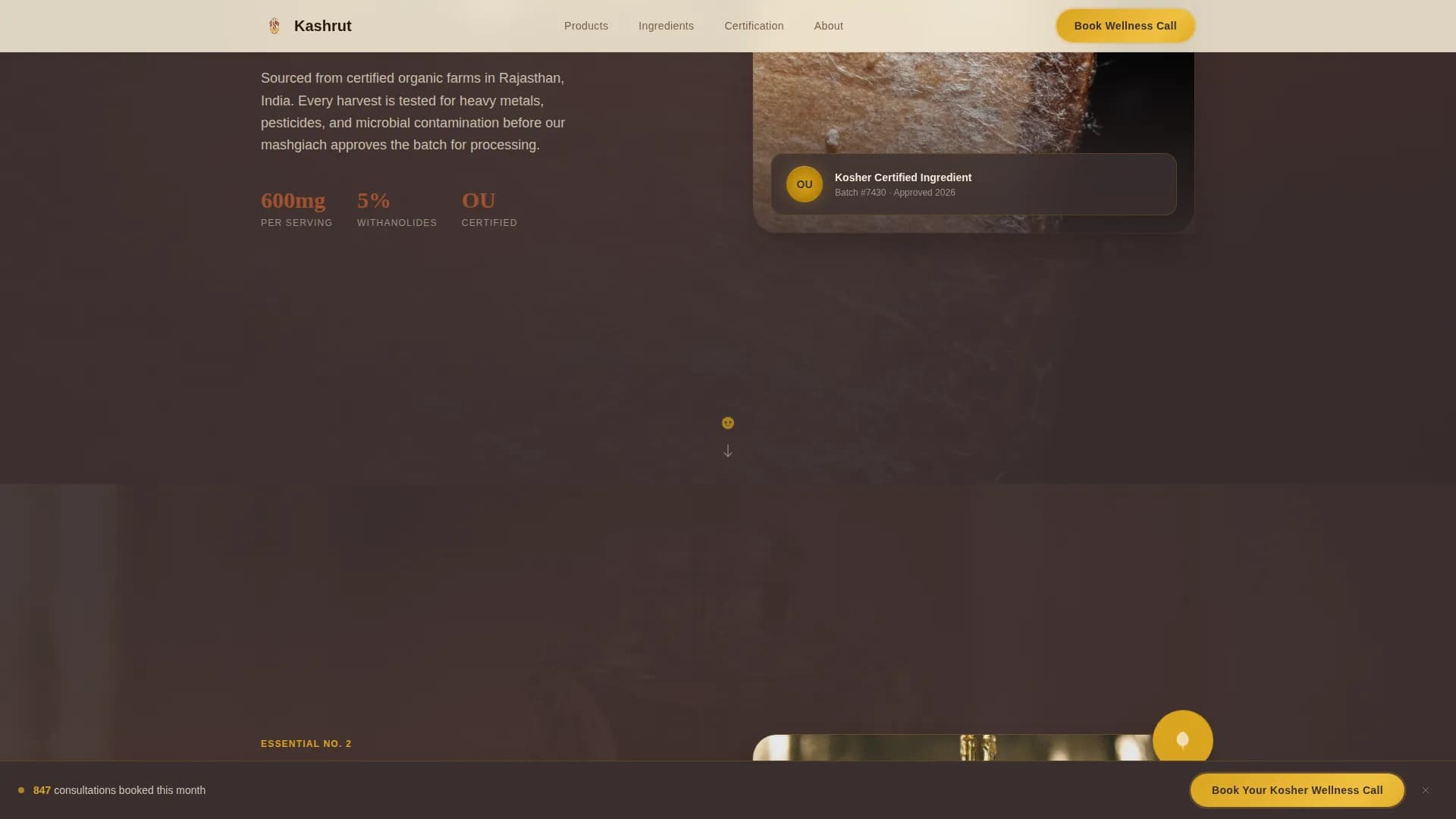 Advanced Kosher Food & Dining Appointment Booking Website Template