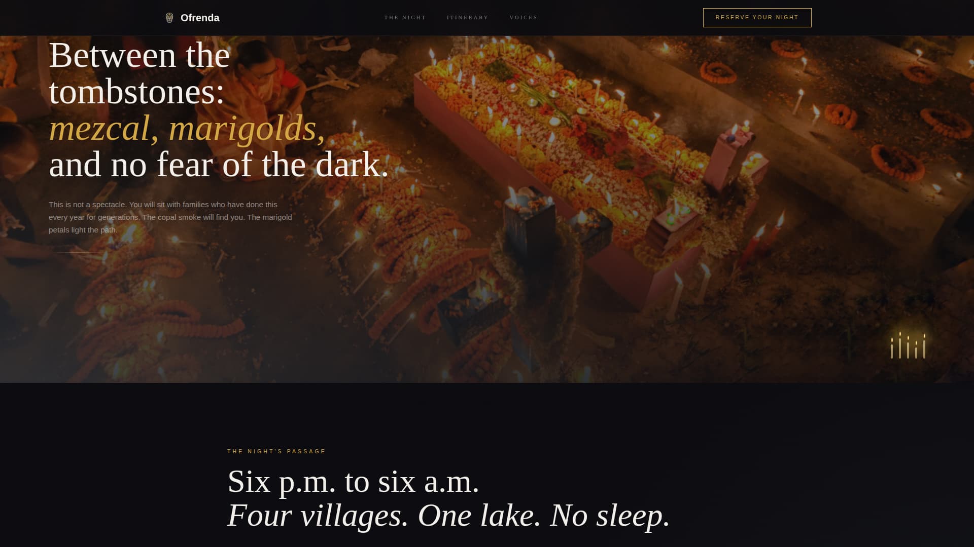 Festival & Event Tourism Booking Website Template