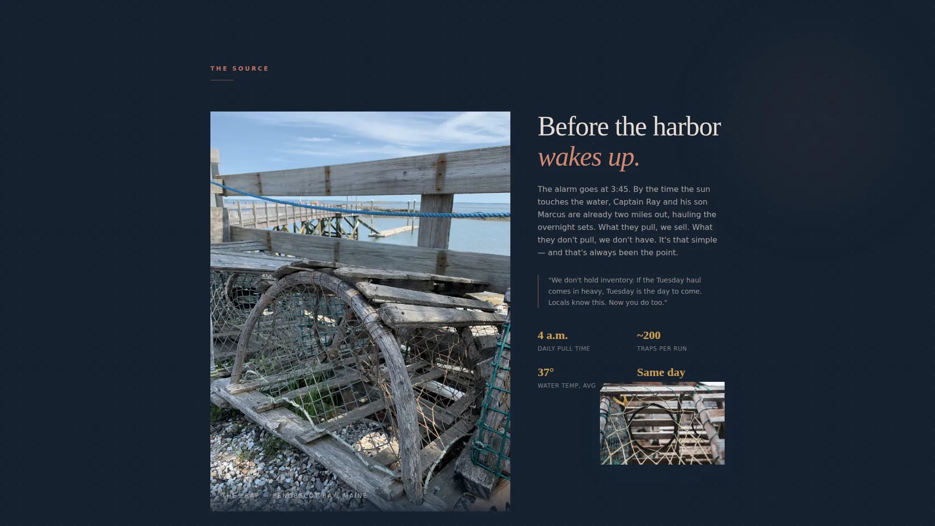 Expert Meat & Seafood Professional Website Template