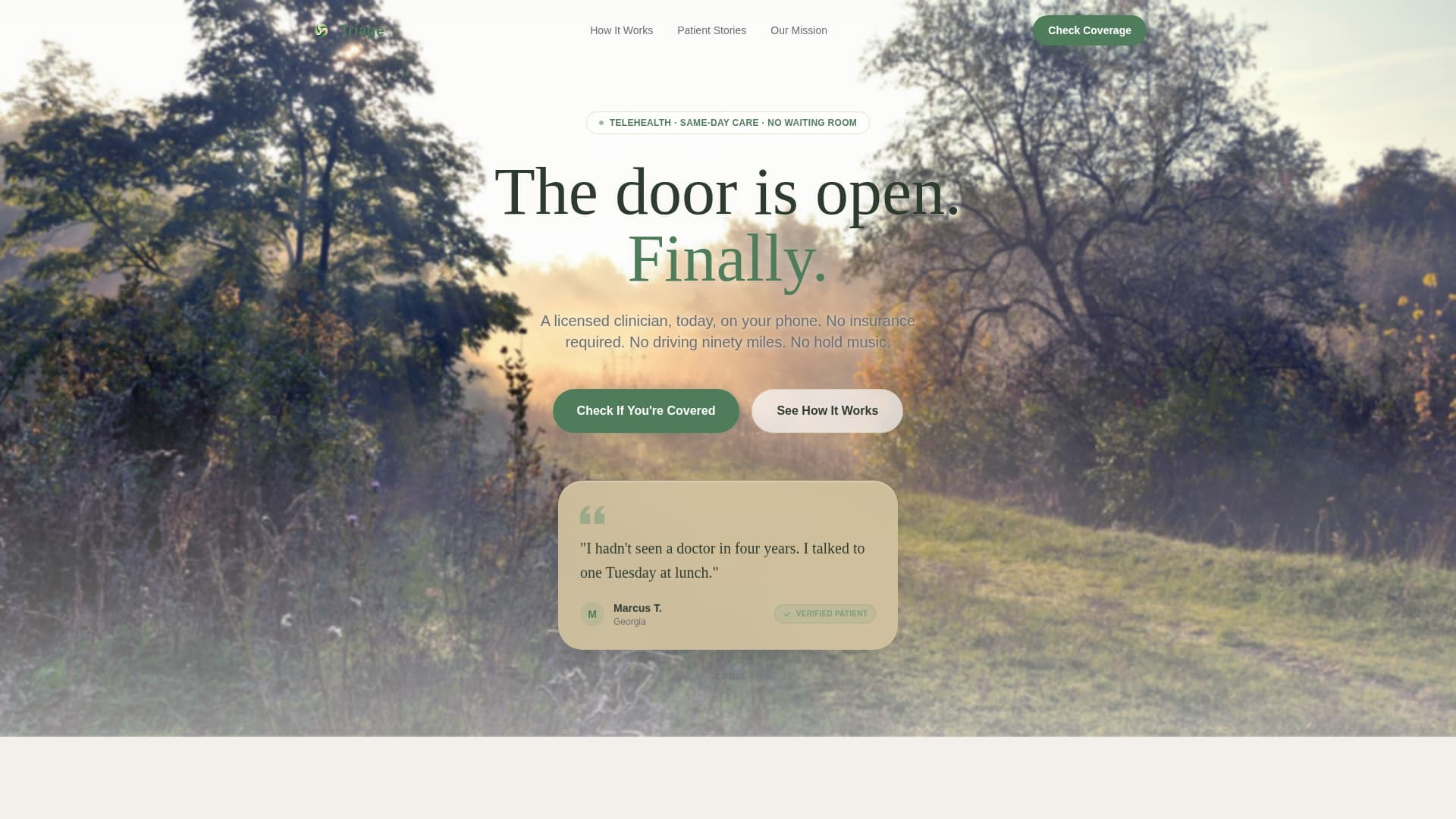 Healthcare Access Nonprofit Professional Website Template