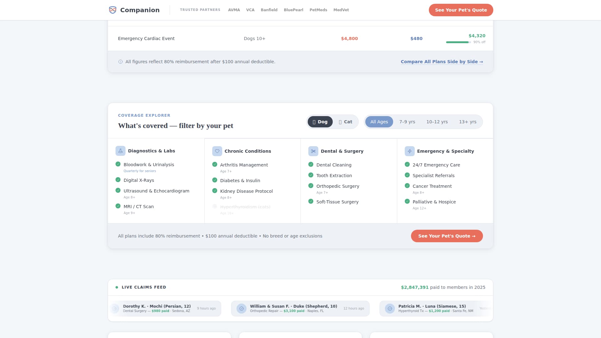 Retiree Insurance Professional Website Template