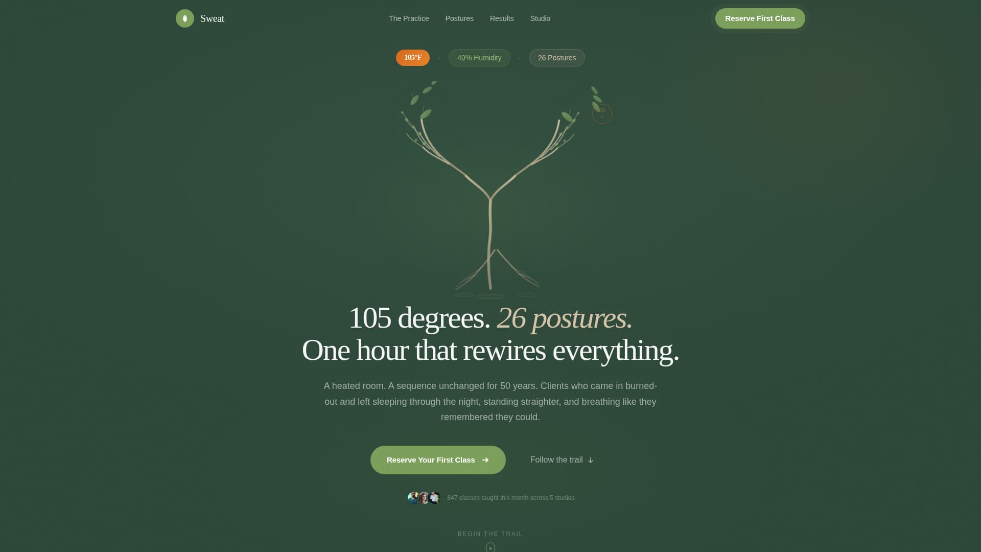 Wellness Modalities Appointment Booking Website Template