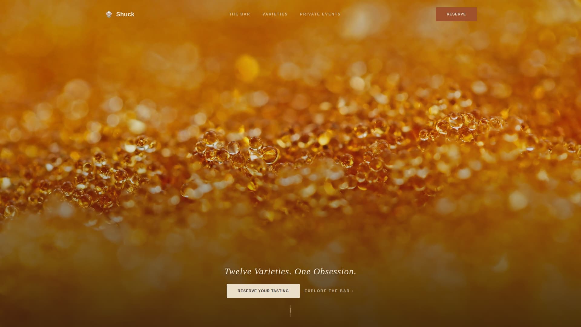 Meat & Seafood Blog & Content Website Template