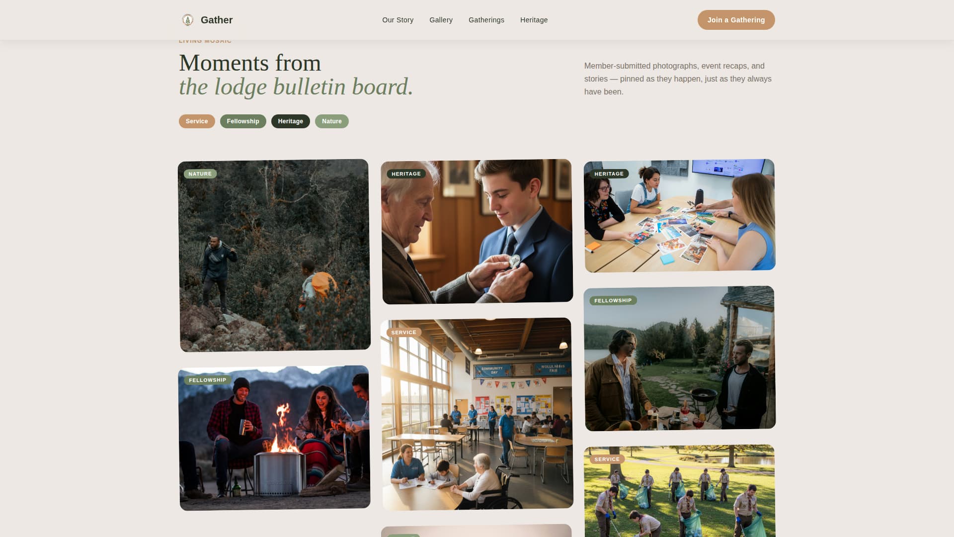 Alumni & Membership Association Professional Website Template