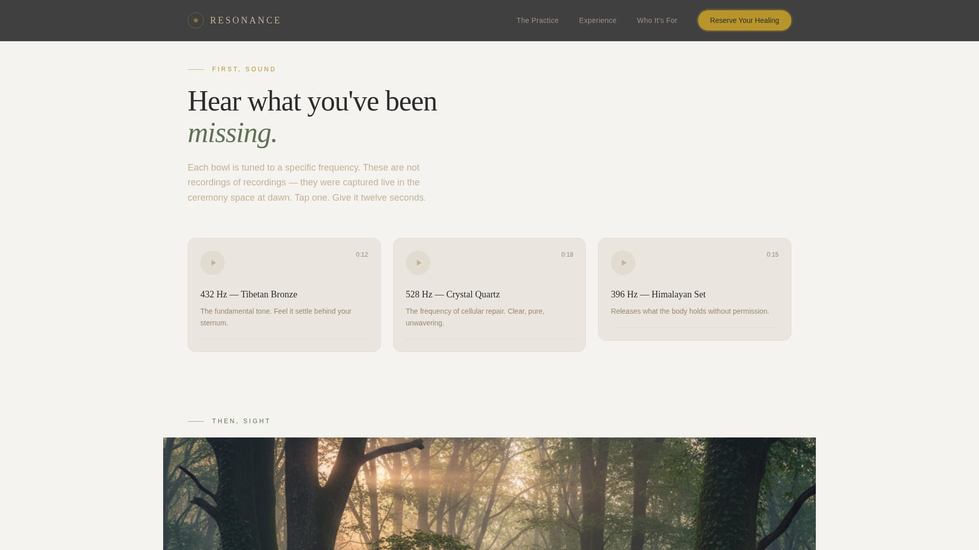 Wellness Modalities Appointment Booking Website Template