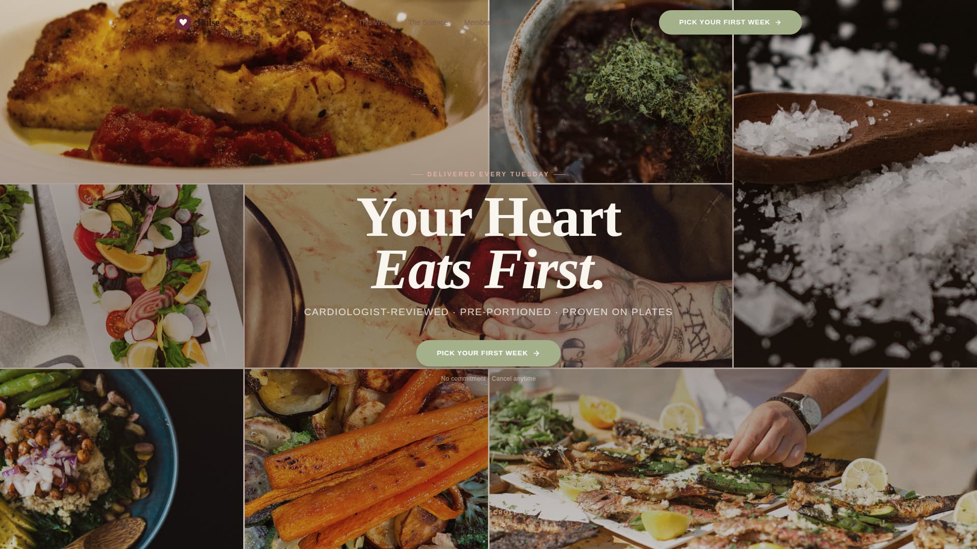 Pulse - Wholesome Mealkit Landing Page Template