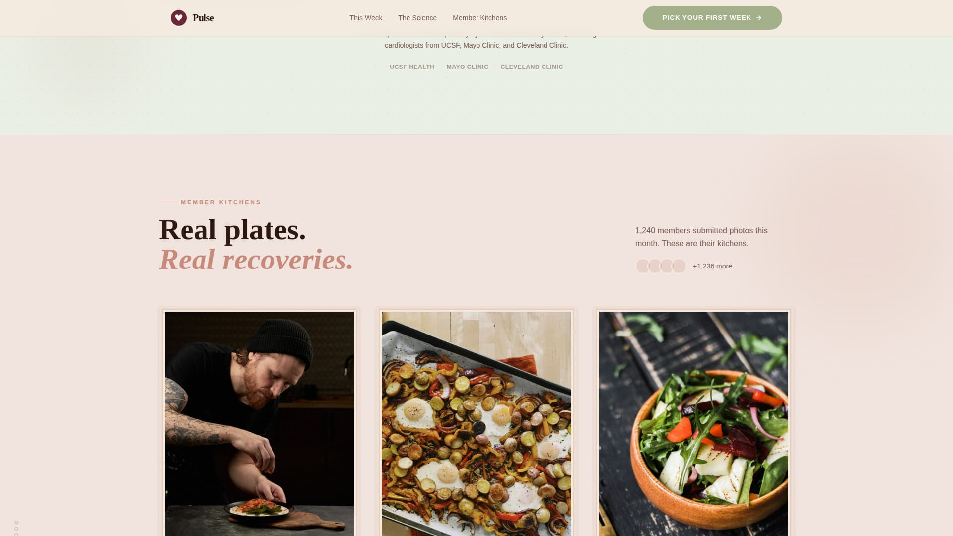 Pulse - Wholesome Mealkit Landing Page Template