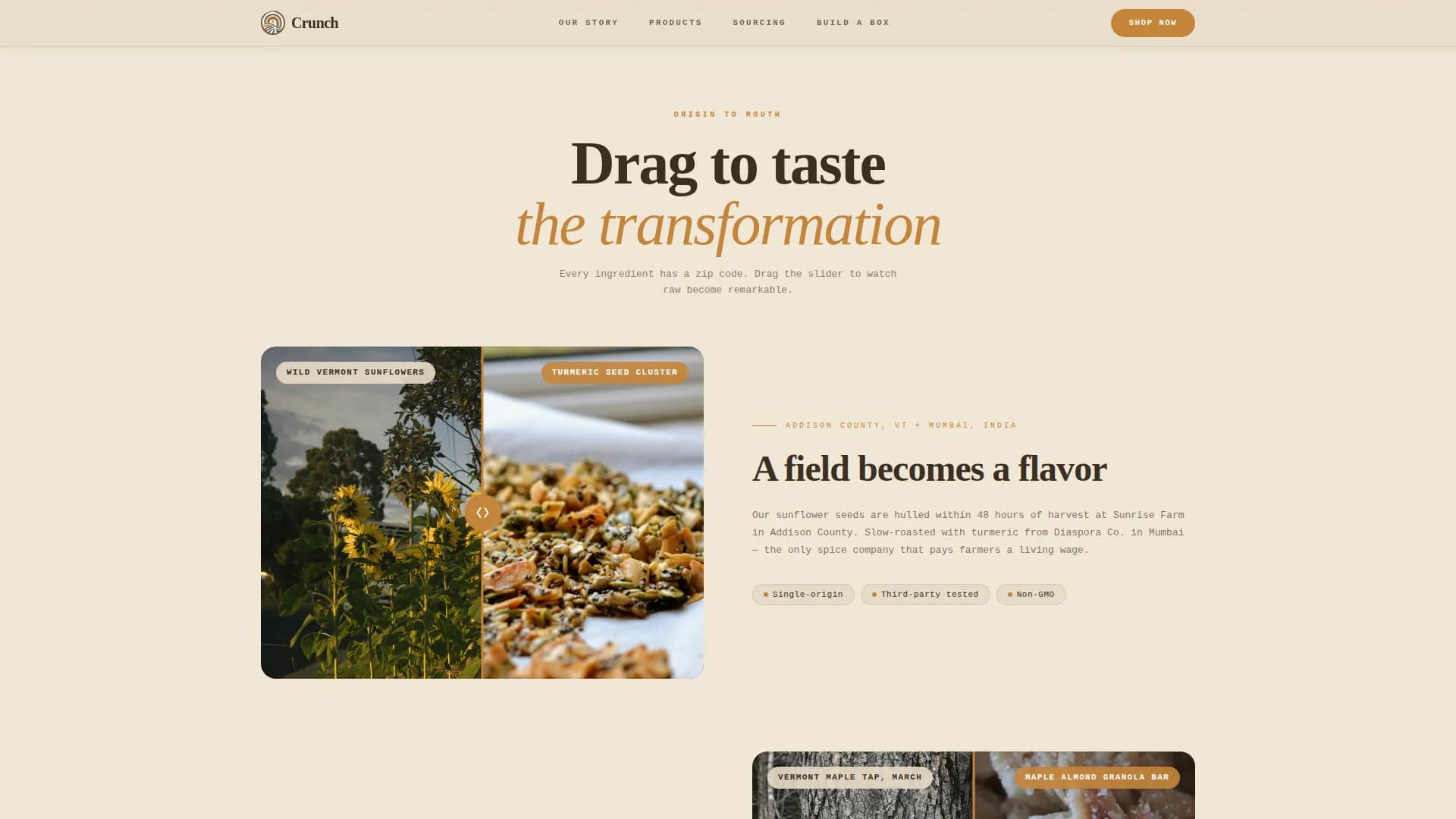 Savory — Craft Snack Brand Landing Page Template