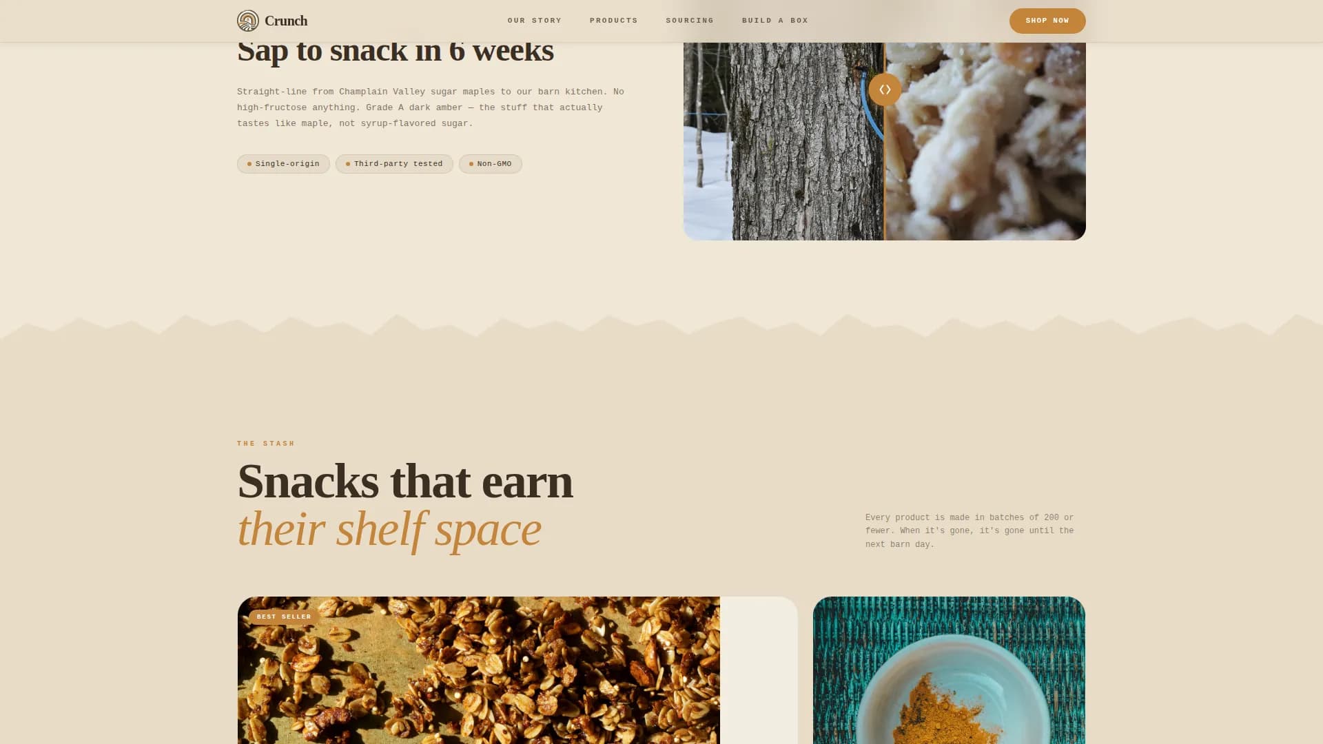 Savory — Craft Snack Brand Landing Page Template