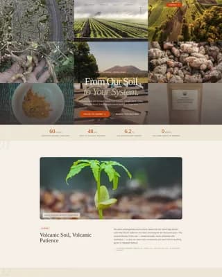 Vitality — Natural Supplement Landing Page Template