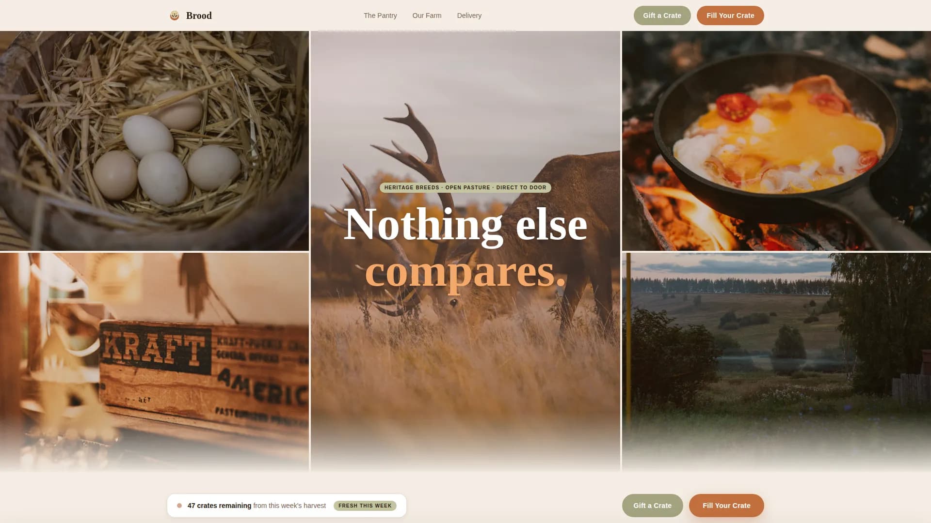 Local Meat & Seafood Professional Website Template