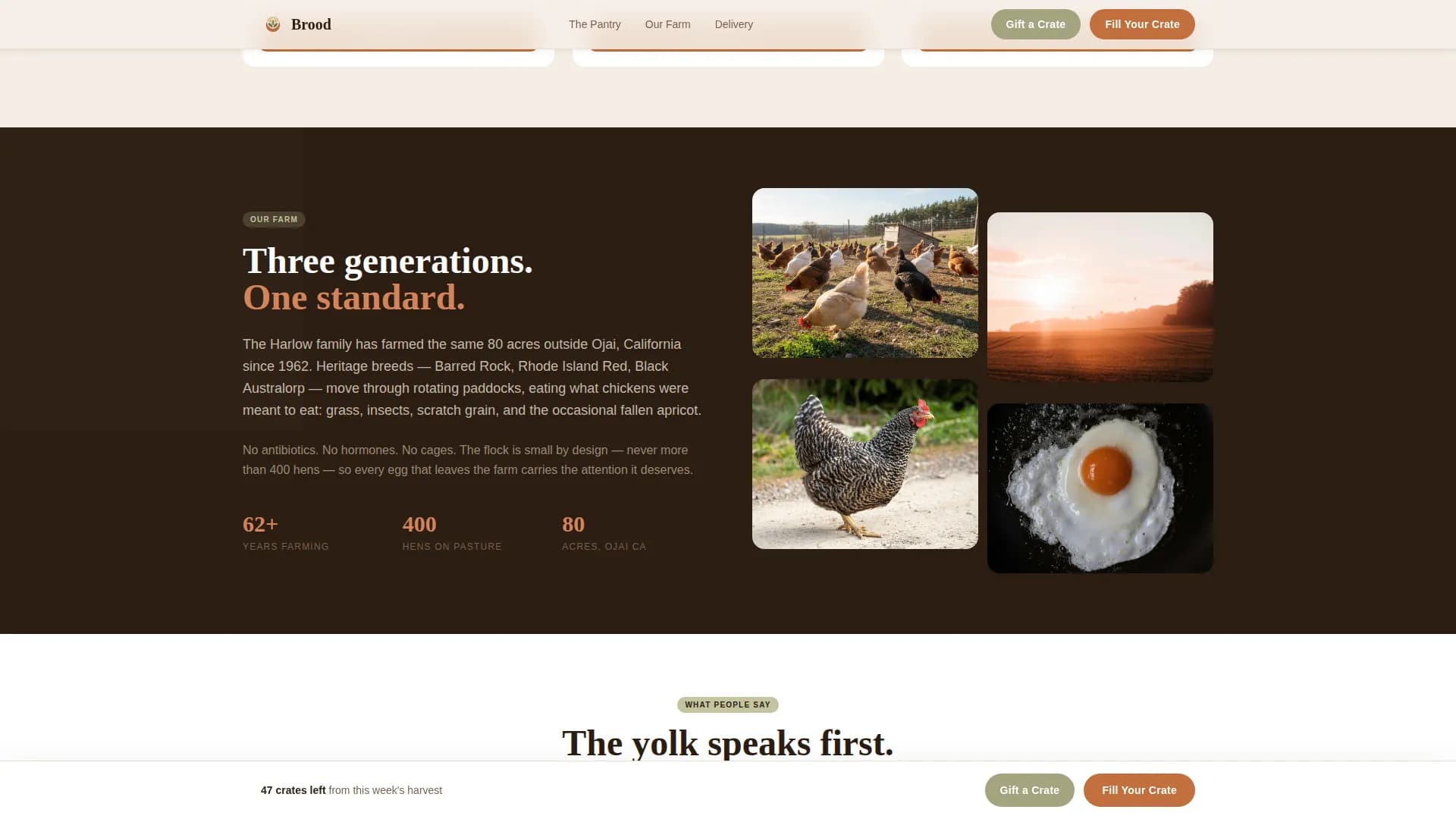Local Meat & Seafood Professional Website Template