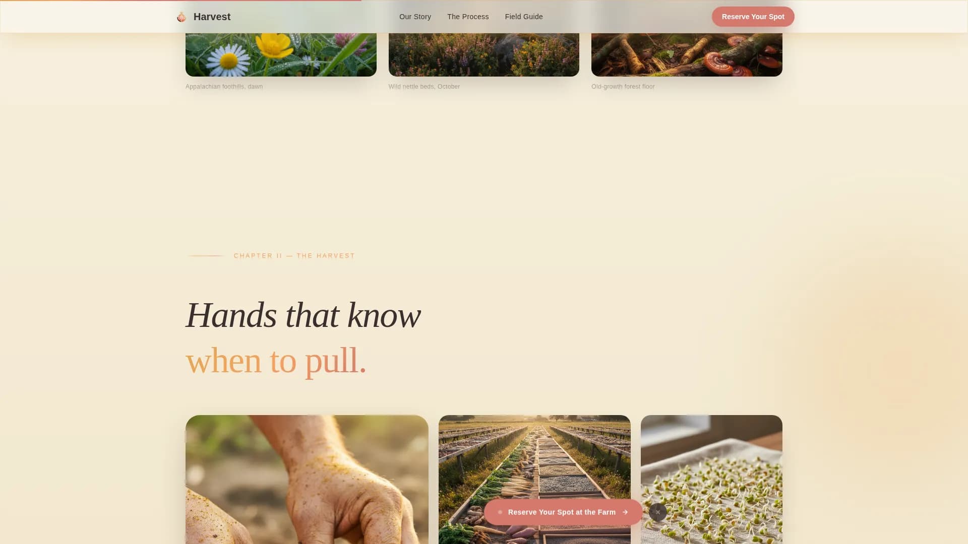 Harvest — Organic Botanical Supplement Landing Page Template