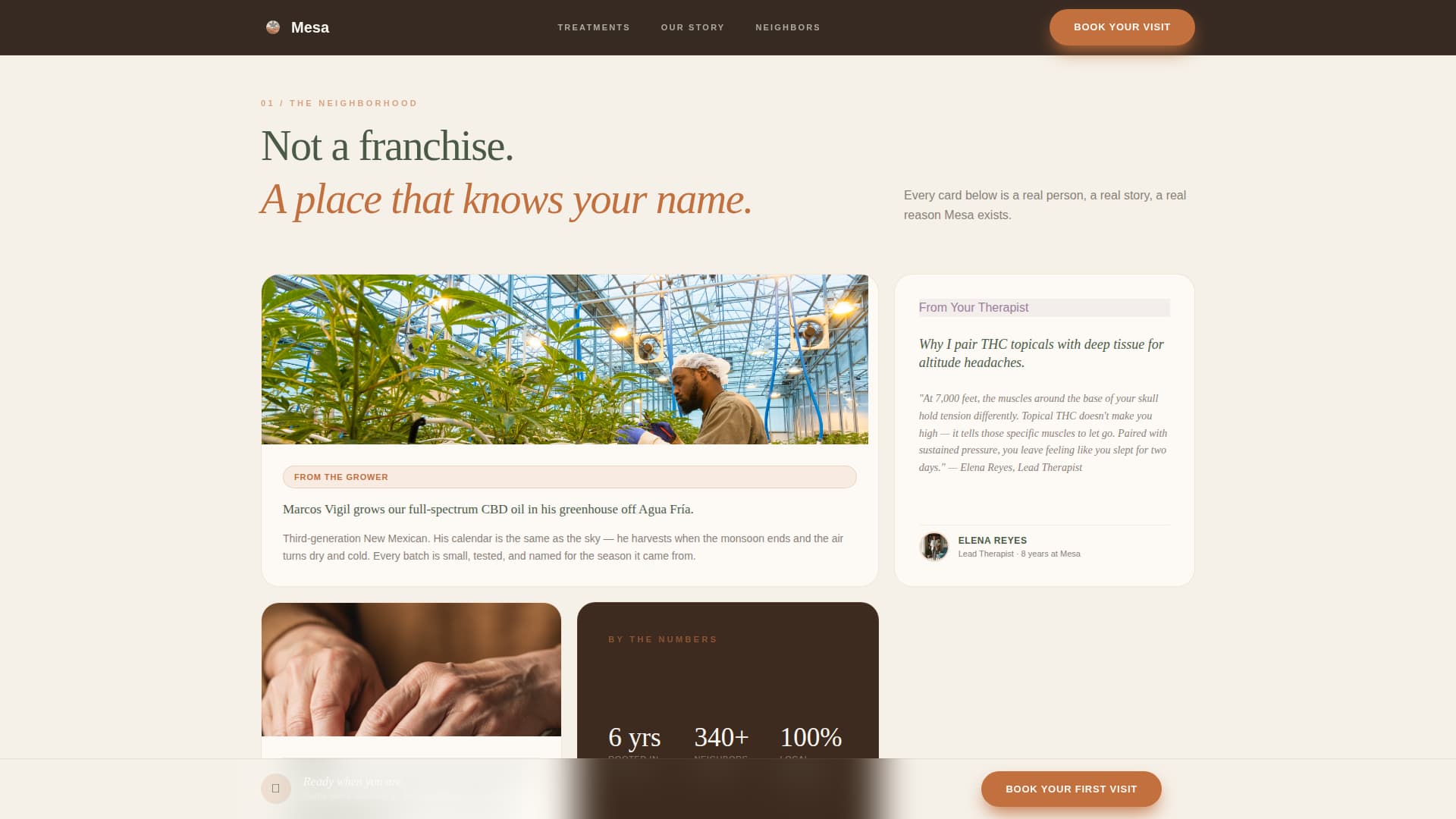 Cannabis Industry Specialist Booking Website Template