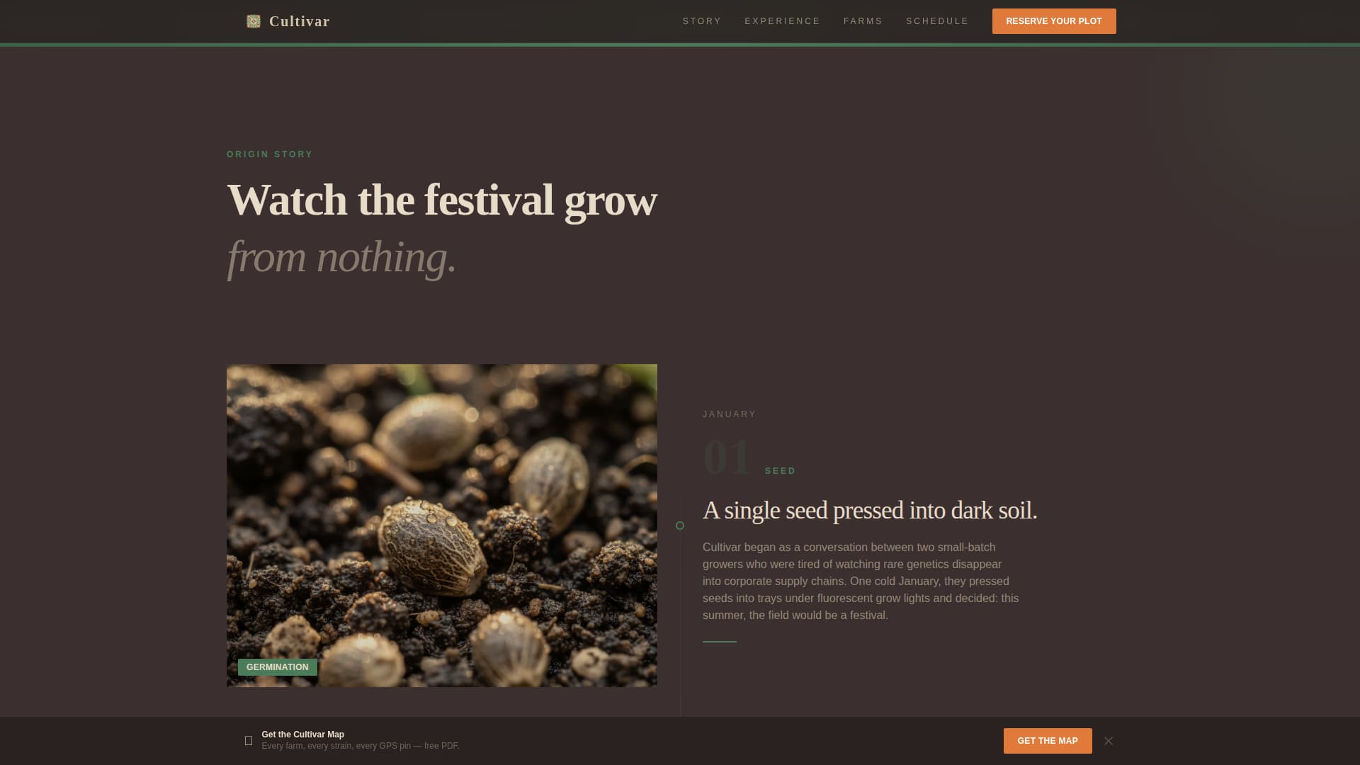 Cannabis Industry Booking Website Template