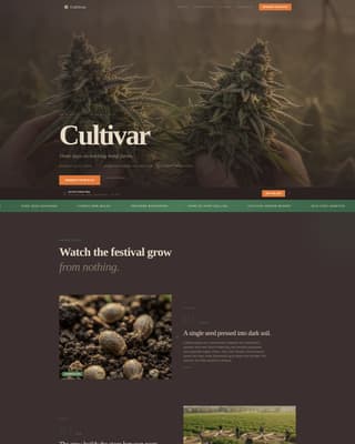 Cannabis Industry Booking Website Template