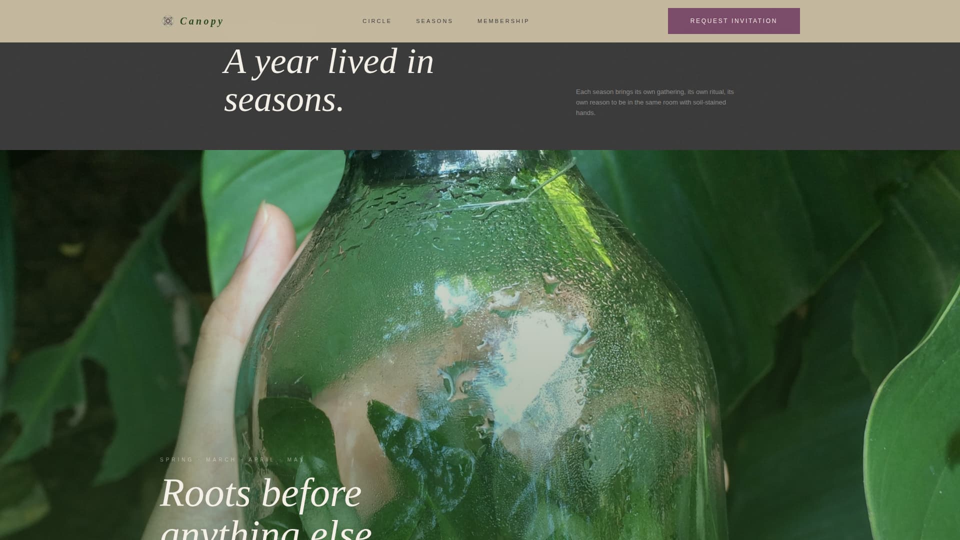 Cannabis Industry Professional Website Template