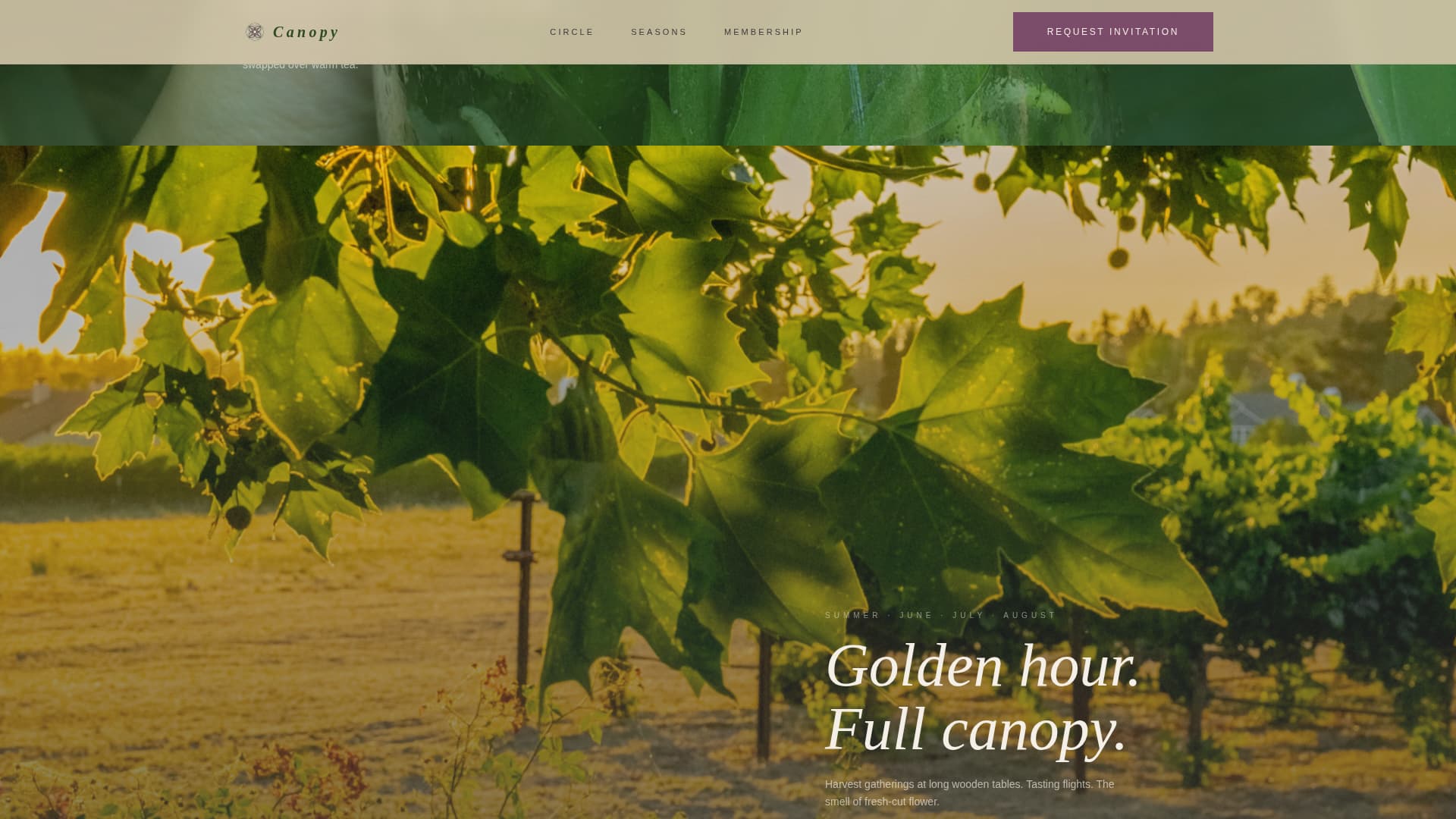 Cannabis Industry Professional Website Template