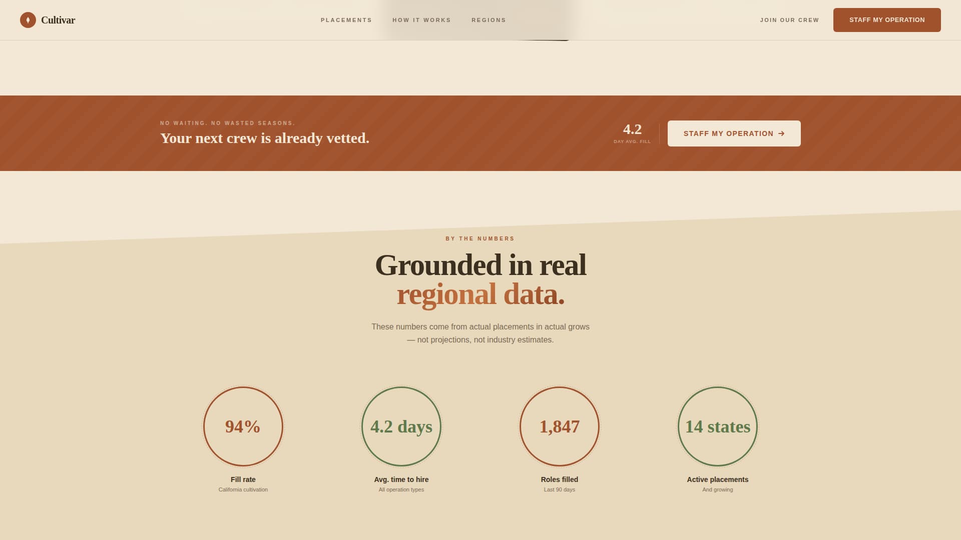 Cannabis Technology & Reviews Website Template