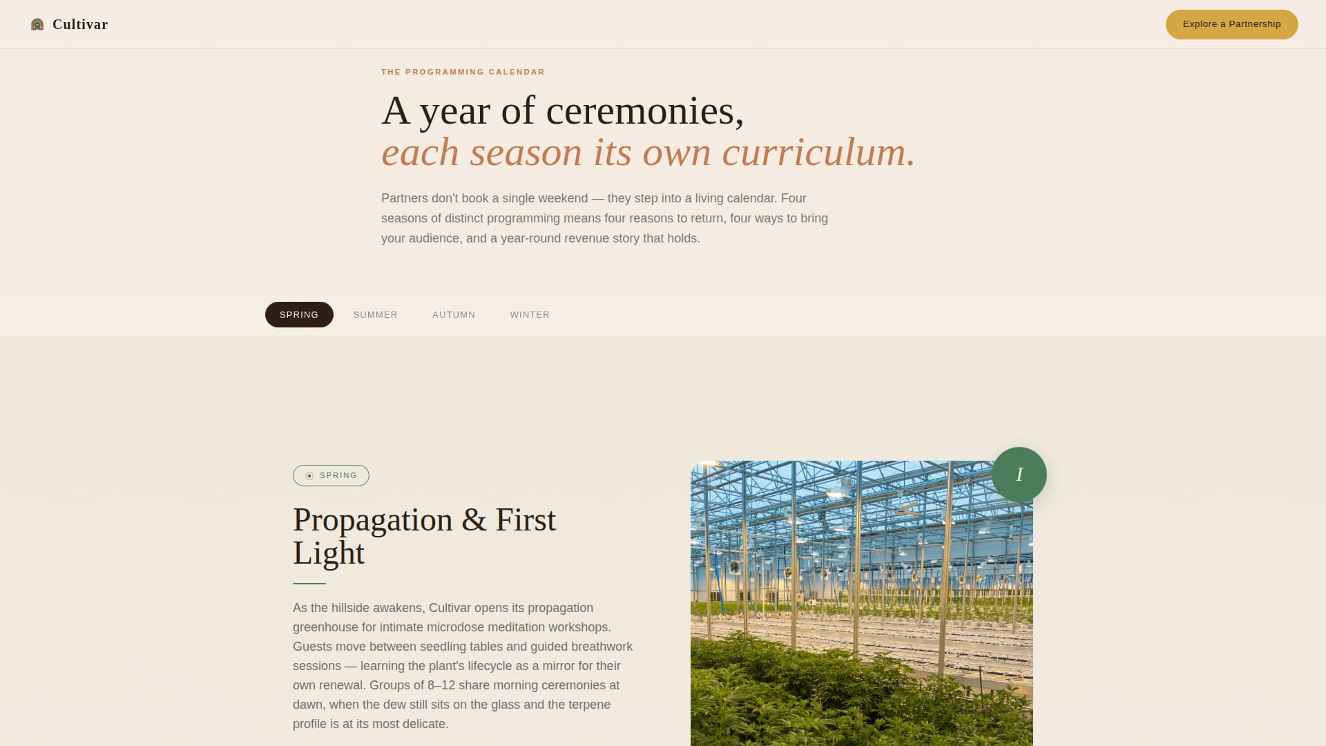 Cannabis Industry Advanced Professional Website Template